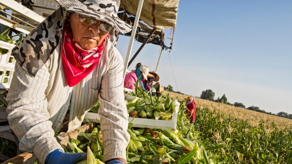 Latina Organizer Launches Farmworker Strike in Response to Escalating ICE Raids